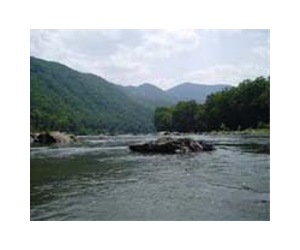 1 in 5 streams damaged by mine pollution in southern West Virginia