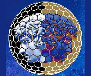 New technique maps twin faces of smallest Janus nanoparticles