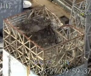 Japan bosses: state not Tepco liable for nuclear damage