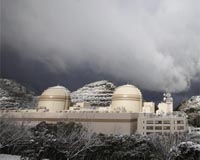 Japan nuclear watchdog says two reactors safe to switch back on