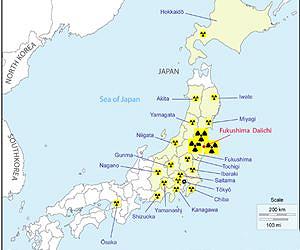 No meltdown for nuclear after Fukushima