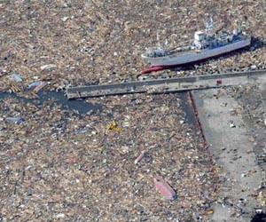 For disaster debris arriving from Japan, radiation least of the concerns