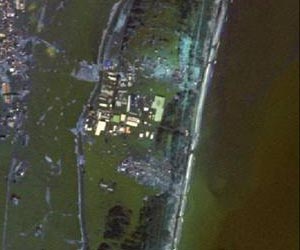 Tsunami survivor recounts nursing home 'nightmare'
