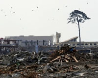 Four years on, Japan's tsunami victims frozen in their tragedy