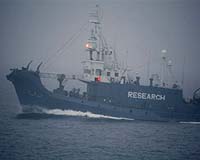 Japan whaling ships set out for Antarctic - to count, not hunt