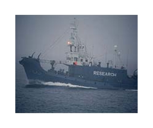 Japan to robustly defend whaling at ICJ: minister