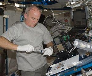 What happens to plant growth when you remove gravity?
