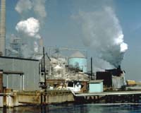 Australia approves major pulp mill despite environment fears