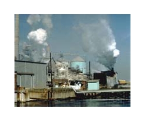 Uruguay seeks end to border pulp mill row