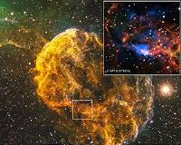 What spawned the Jellyfish Nebula?