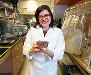 Methane-munching microorganisms meddle with metals
