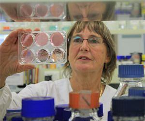 A mighty fighting flu breakthrough