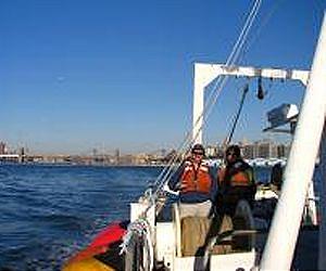 Post-Sandy, Long Island barrier systems appear surprisingly sound
