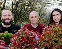 Inspiration for fluorescent nanomaterials was taken from plant antenna