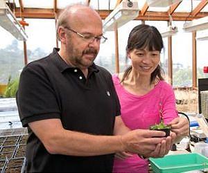 Salk researchers chart epigenomics of stem cells that mimic early human development