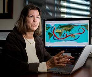 'Stadium waves' could explain lull in global warming