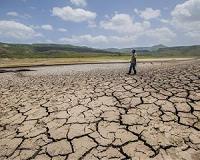 Drought hits Central America's crops, cattle