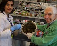 Ancient medicinal clay shows promise against today's worst bacterial infections