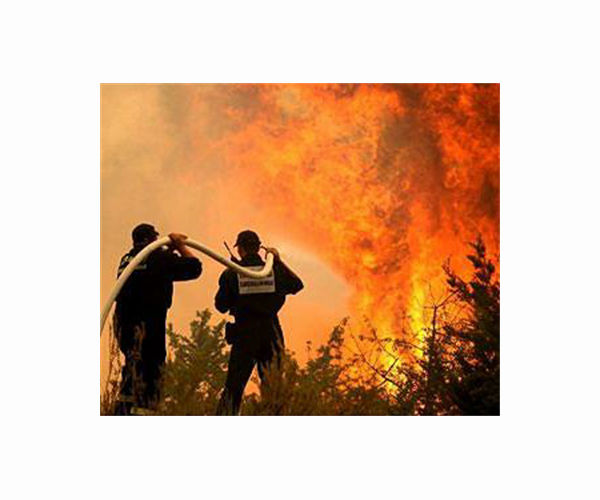 Three recent French wildfires were arson: prosecutors