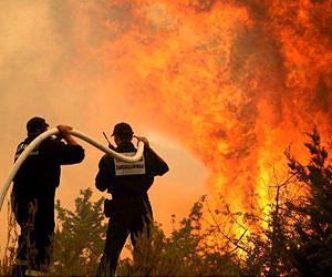 Ancient tree-ring records from southwest U.S. suggest today's megafires are truly unusual
