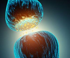 Nanoscale neuronal activity measured for the first time