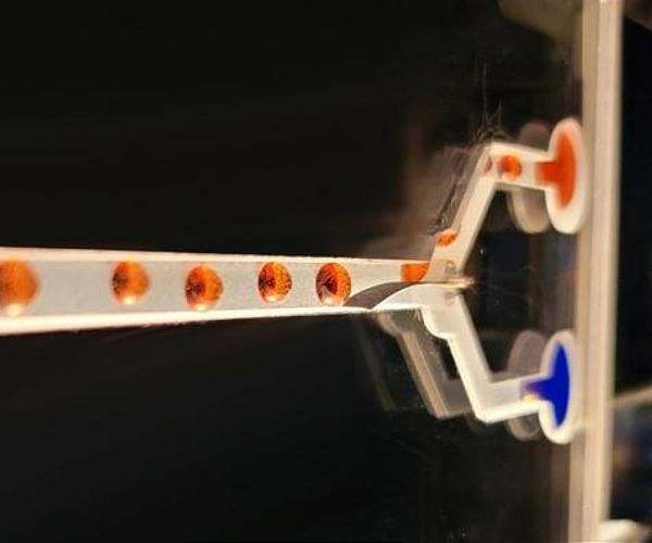 Artificial muscle device produces force 34 times its weight