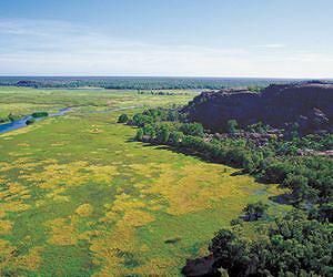 Australia's Kakadu wetlands 'under climate threat'