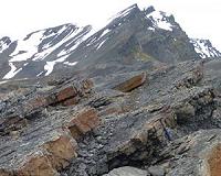 Capitanian extinction added to list of major extinctions