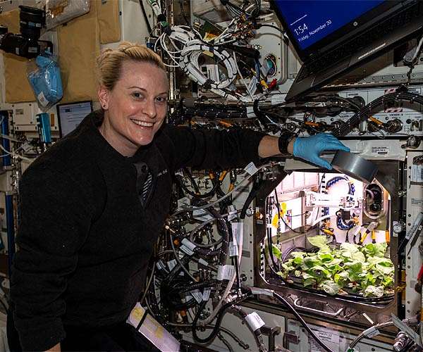 Astronauts eat first radishes grown in space as 2020 ends