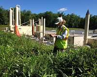 Shale gas development spurring spread of invasive plants in Pennsylvania forests