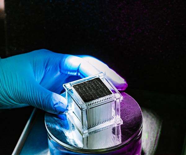 Elevated design keeps solar stills salt-free
