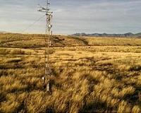 In grasslands, longer spring growing season offsets higher summer temperatures