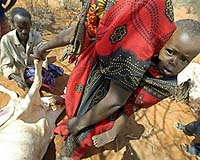 Ten million Kenyans facing food shortages: government