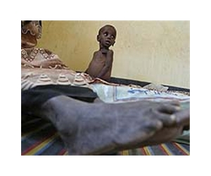 Food supplements have little effect on the weight of malnourished children