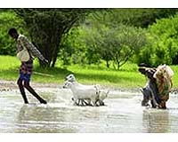Food crisis could loom after Africa floods: Red Cross