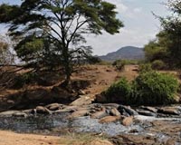 Kenya's hippos hard hit by drought