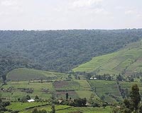Fast internet connection a luxury in rural Kenya