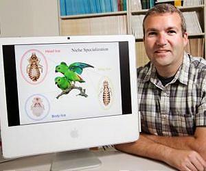 Bird louse study shows how evolution sometimes repeats itself