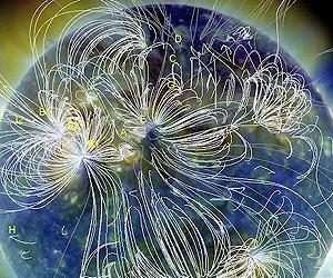SDO Celebrates One Year Anniversary