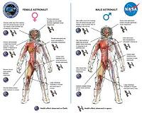 Study Investigates How Men and Women Adapt Differently to Spaceflight