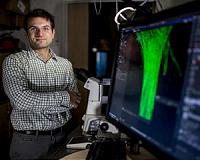 Nano-walkers take speedy leap forward with first rolling DNA-based motor
