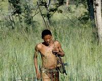Cultural evolution has not freed hunter-gatherers from environmental forcing