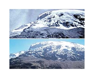 Land-cover changes do not impact glacier loss