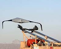 Maiden Flight Killer Bee UAV