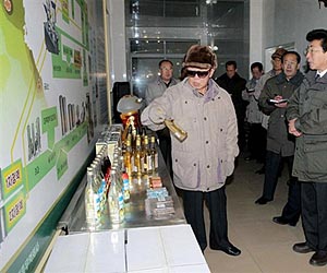 N. Korea's Kim visits factory in China
