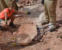 Print a 200-million-year-old dinosaur fossil in your own home
