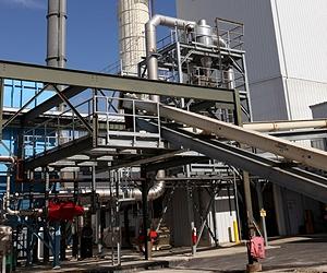 Energy Department backs biofuel plant