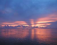 World's Largest Marine Protected Area Created In Pacific Ocean