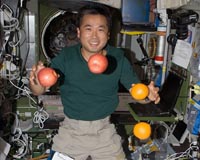 Sushi and fresh underpants await landed astronaut