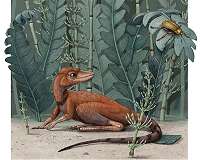 A tiny ancient relative of dinosaurs and pterosaurs discovered